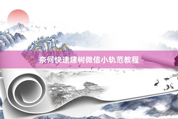 奈何快速建树微信小轨范教程
