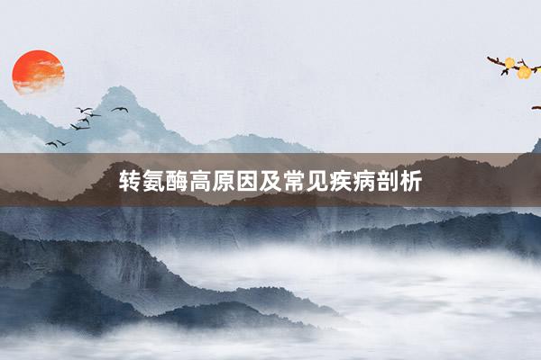 转氨酶高原因及常见疾病剖析