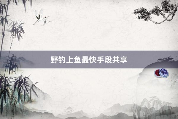 野钓上鱼最快手段共享
